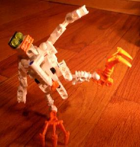 stupidchicken3.jpg