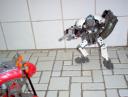 anteatersteelclawrobotattack.jpg