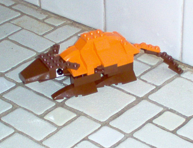 armadillo.jpg