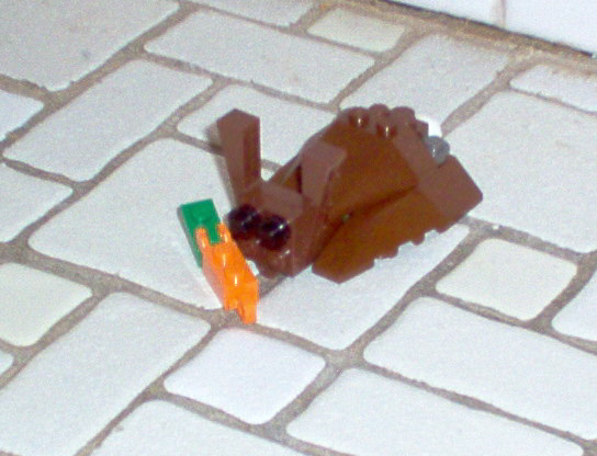 bunny.jpg