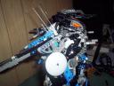 dark_fox_005.jpg