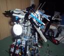 dark_fox_009.jpg