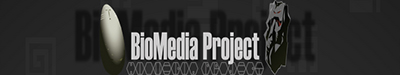 biomediaproject.jpg