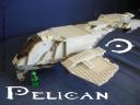 Pelican