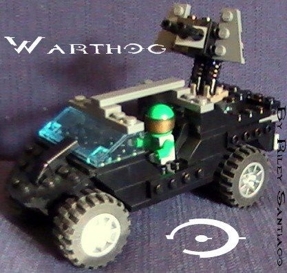 10_warthog.jpg