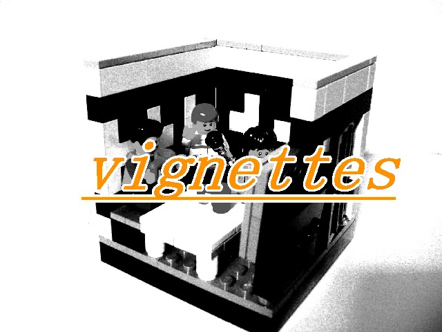 vignettes.jpg.jpg