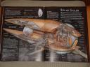 geonosian_solar_sailer-original-02.jpg