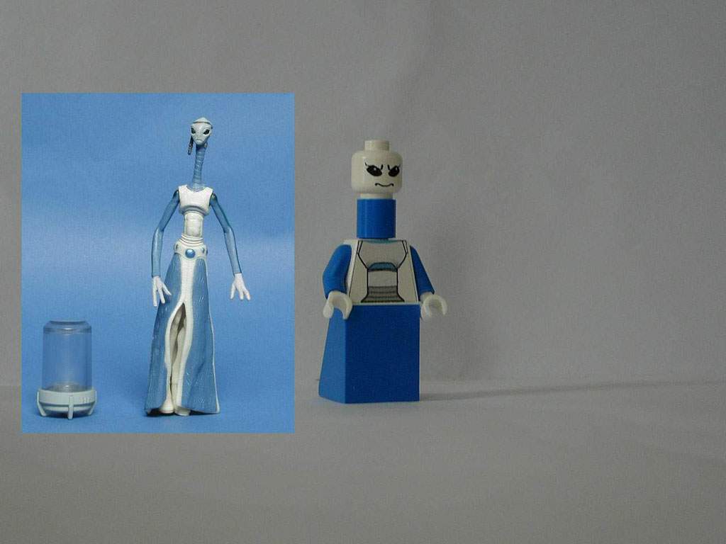 sw-minifig-36-taun_we.jpg