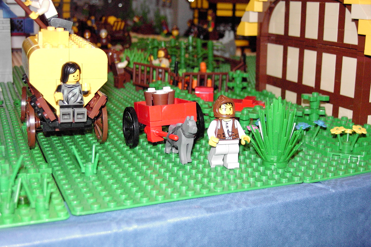 pic_2451.jpg