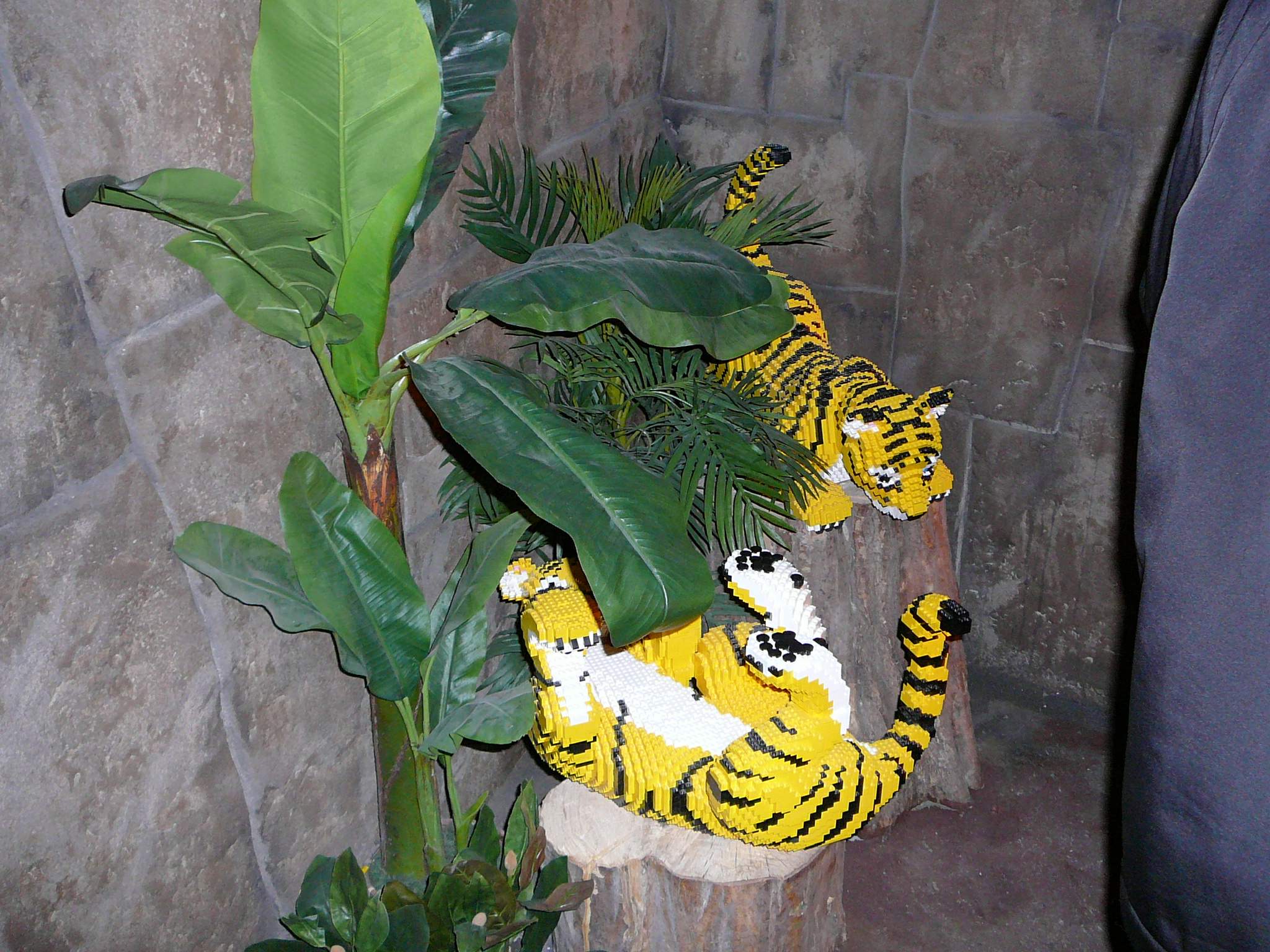 p1010030.jpg