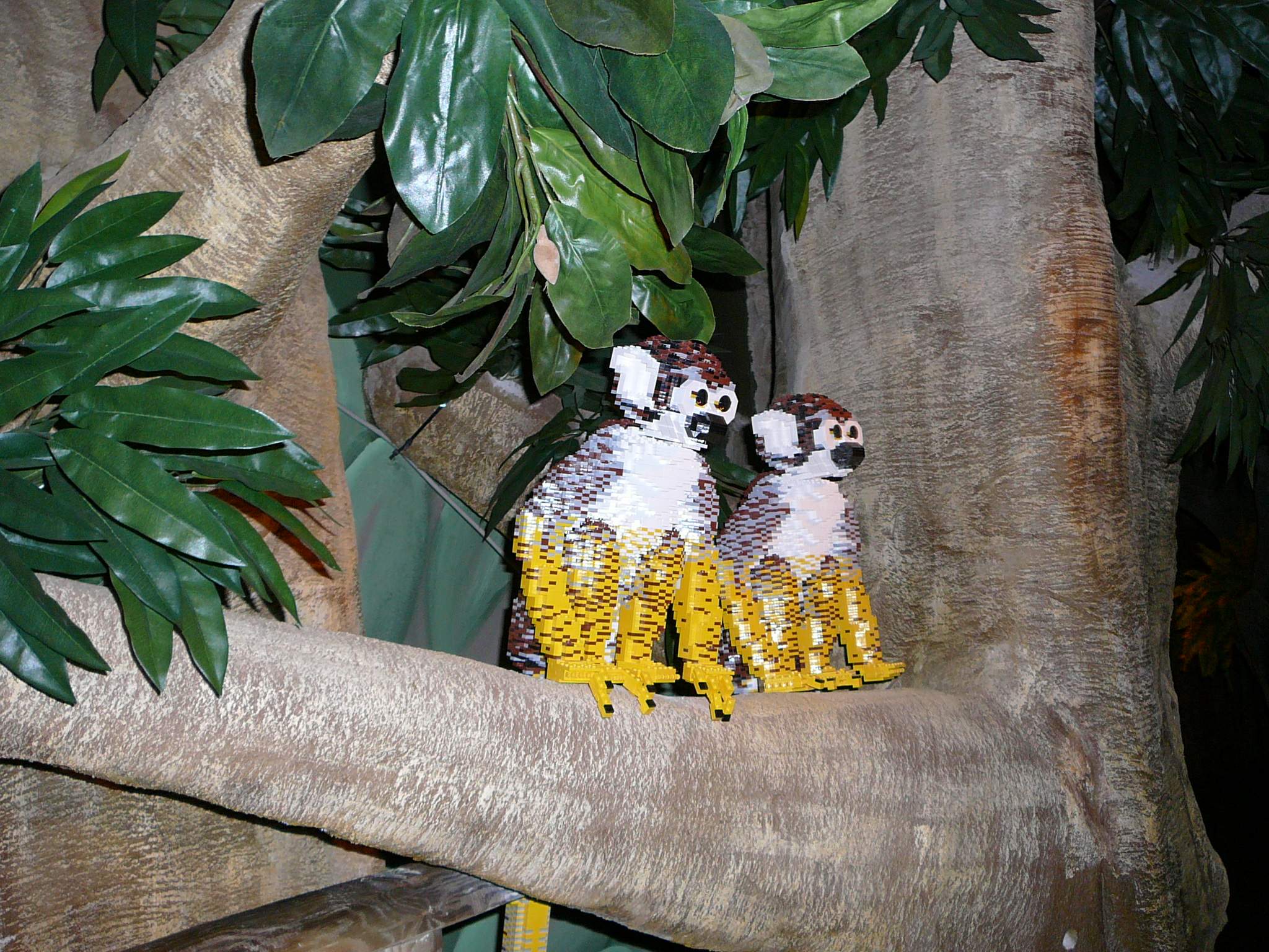 p1010031.jpg