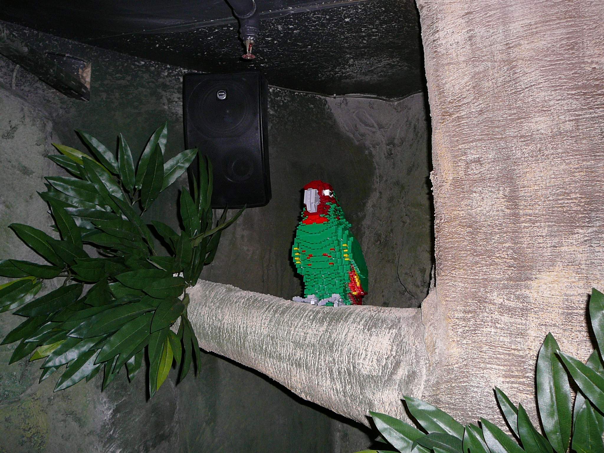p1010036.jpg