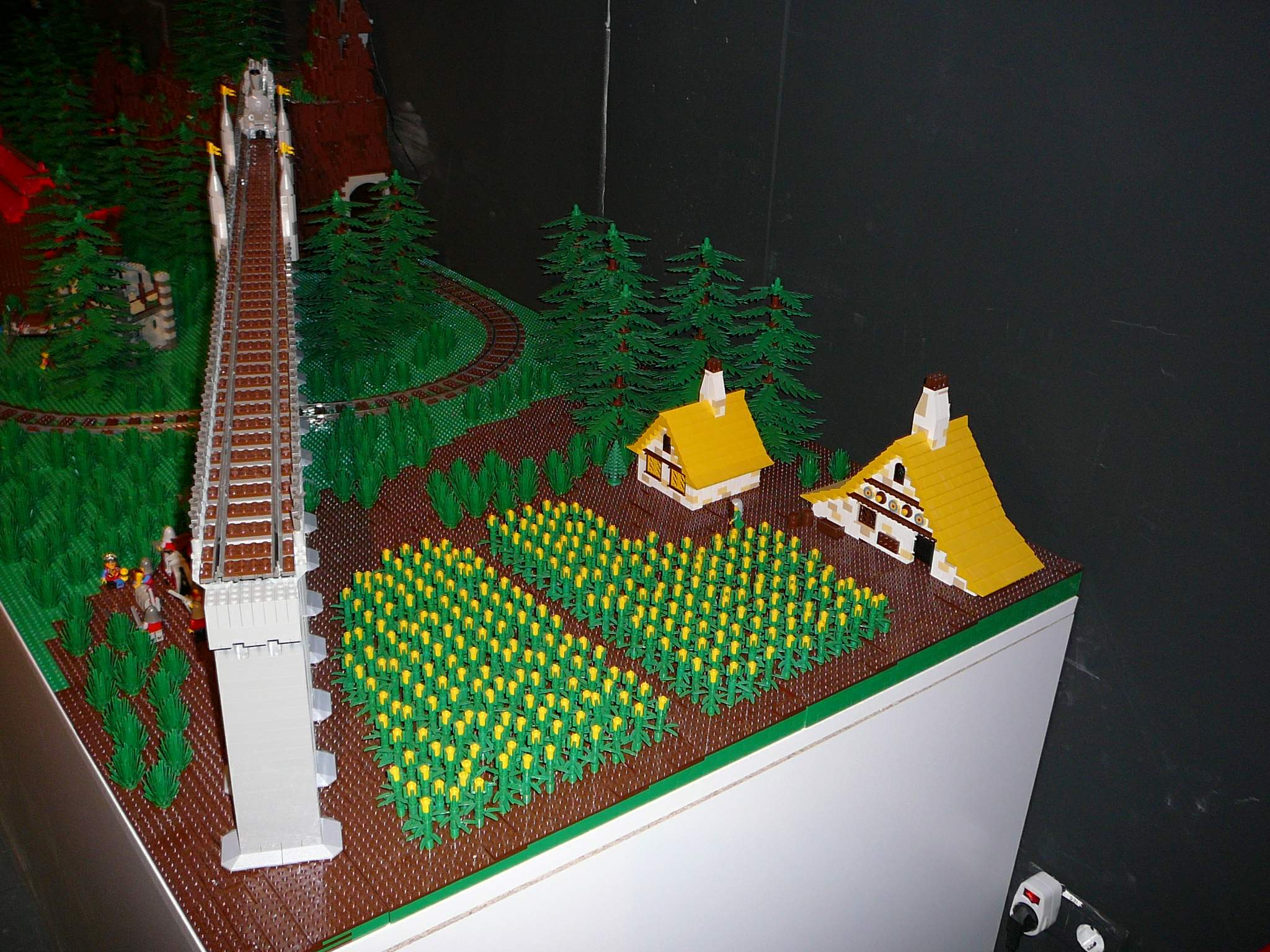 p1010052.jpg