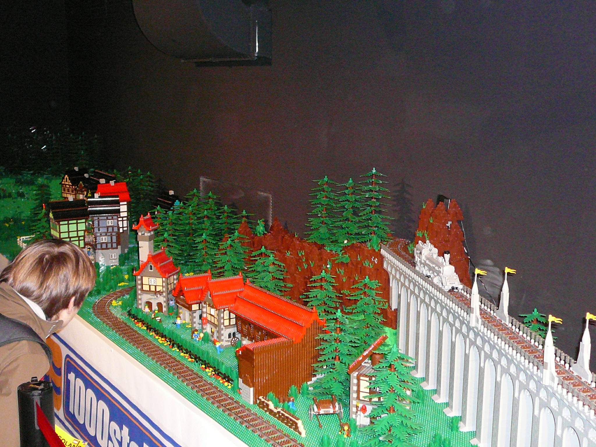 p1010053.jpg