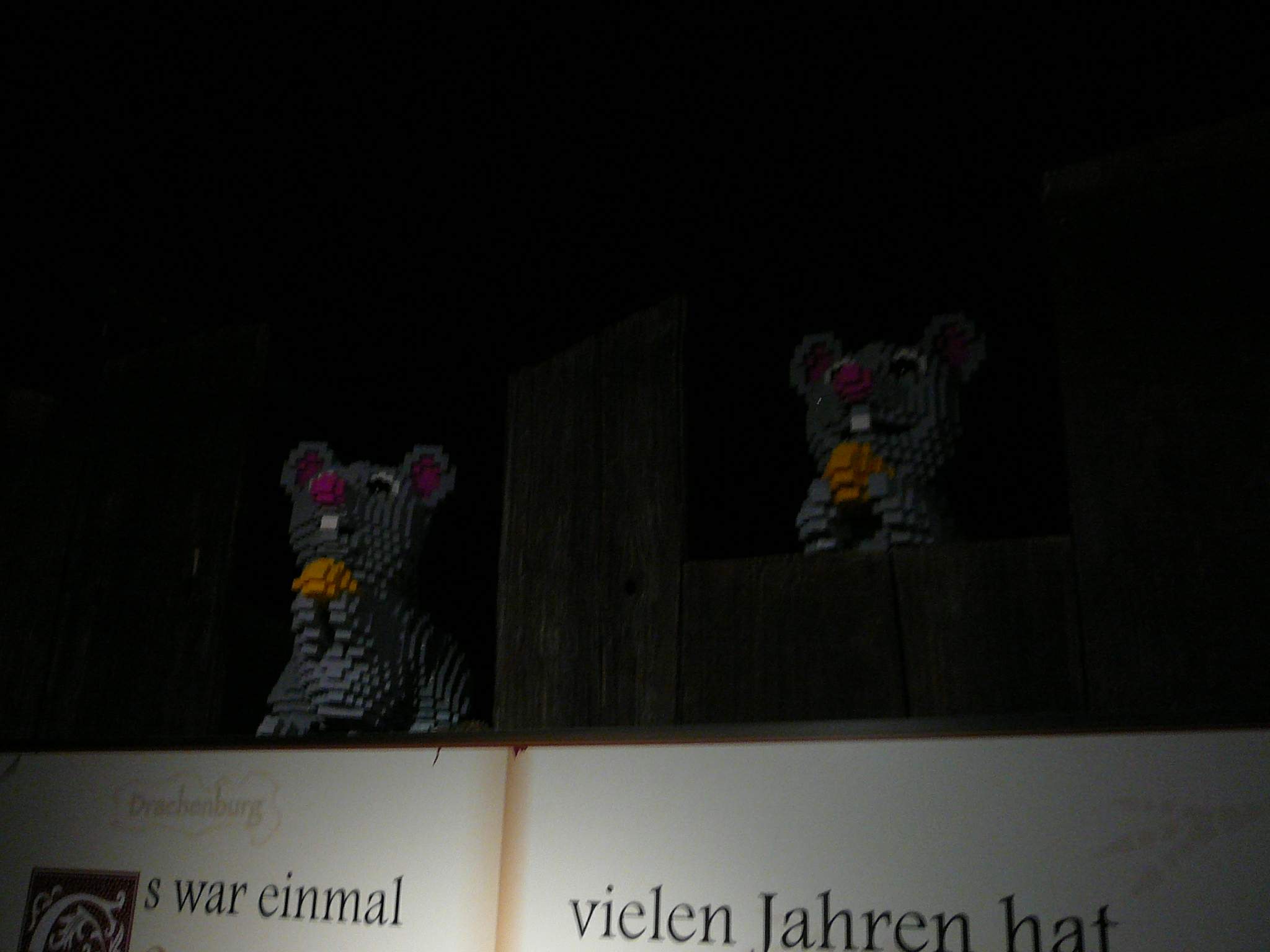 p1010115.jpg
