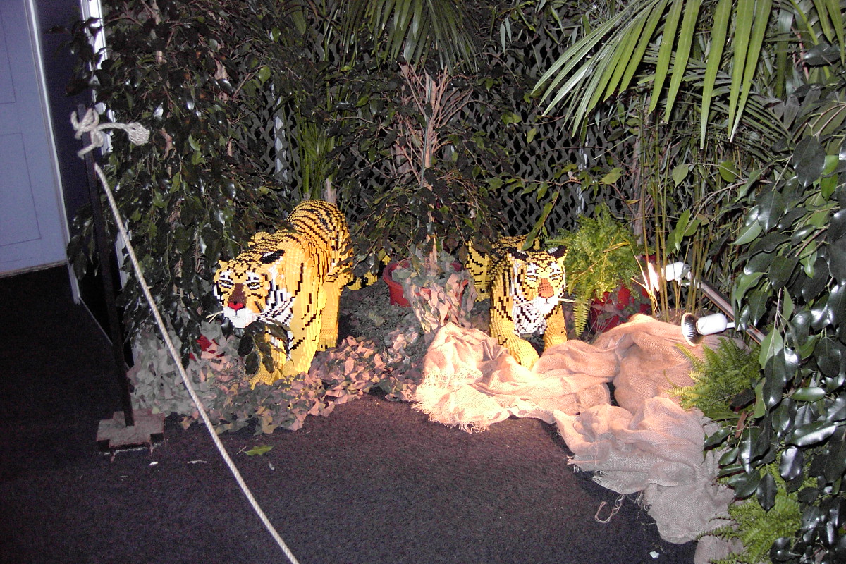 pic_5676.jpg