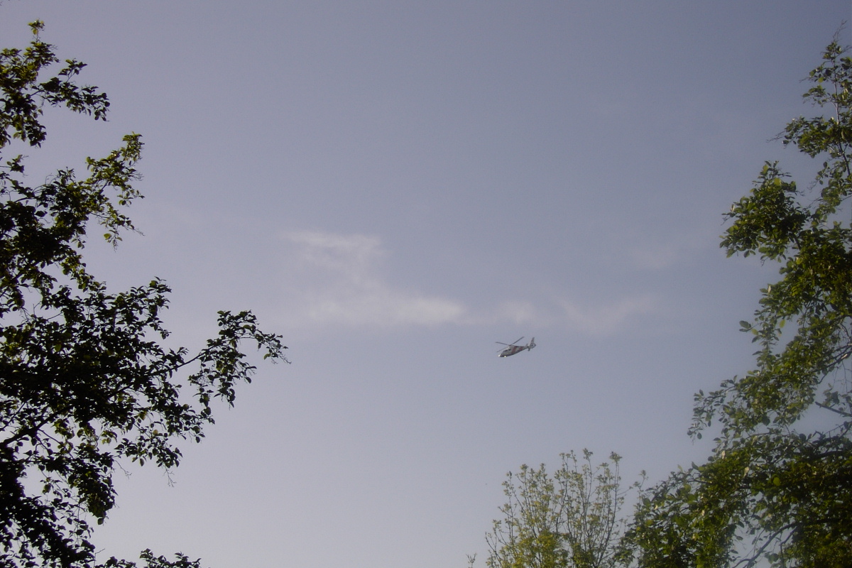 zpic_2731.jpg