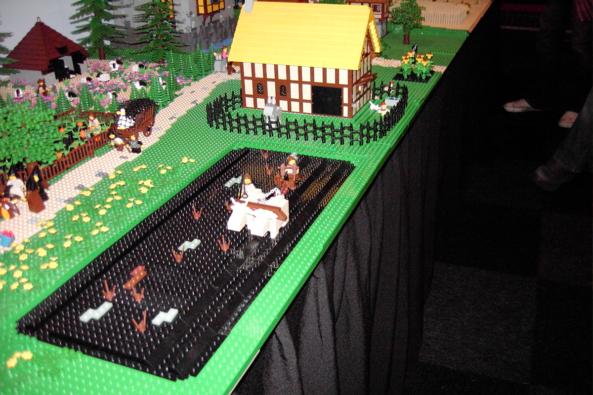 pic_4136.jpg