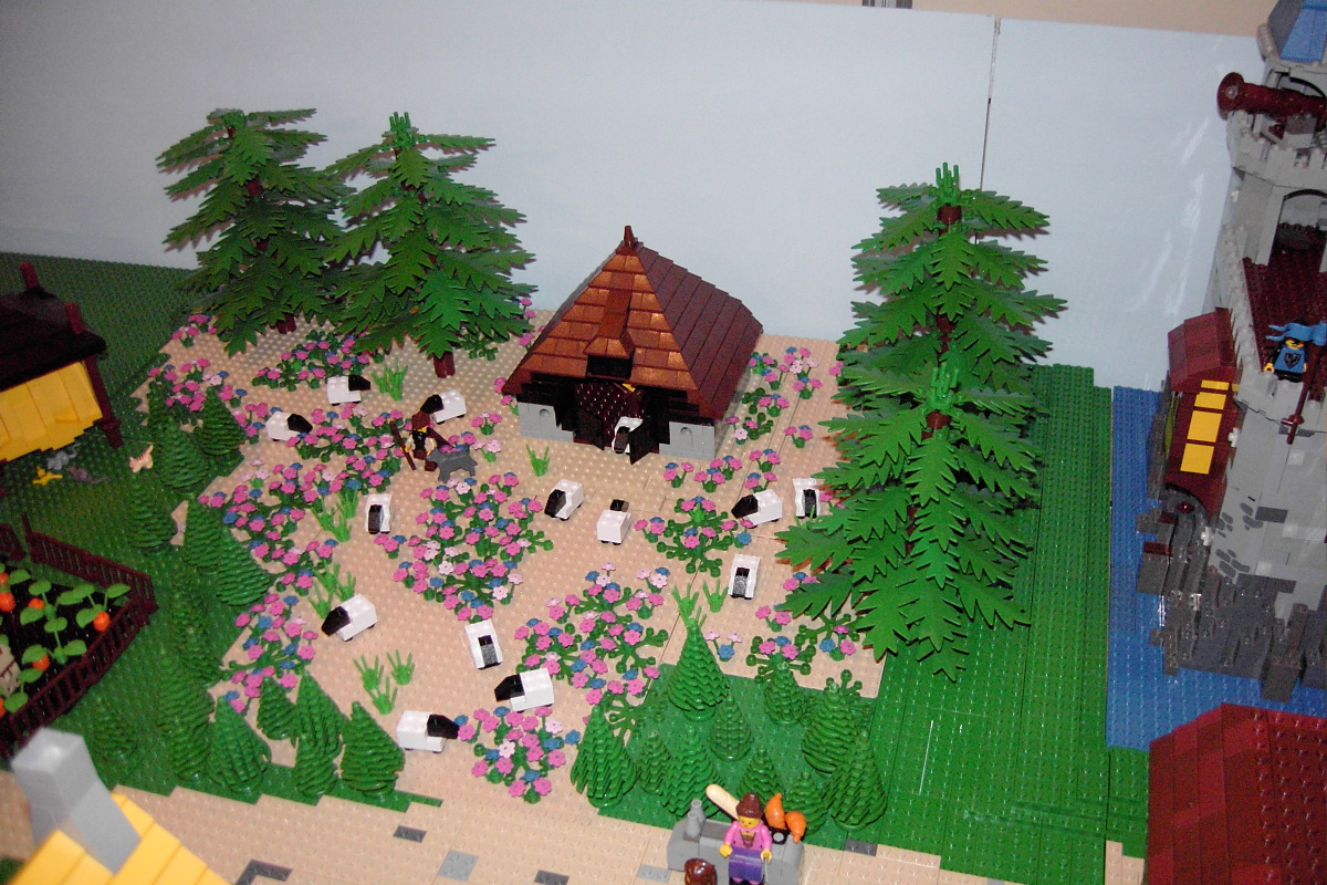 pic_4144.jpg