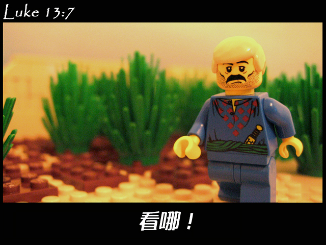 luke_13_07b.jpg