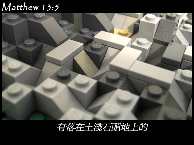 matthew_13_05a.jpg