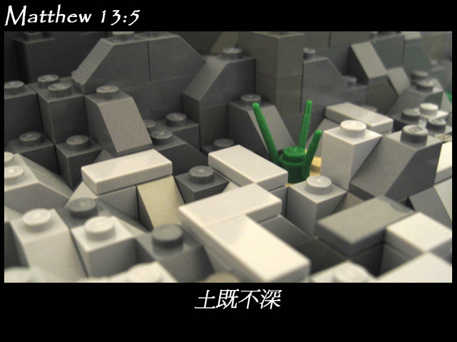 matthew_13_05b.jpg