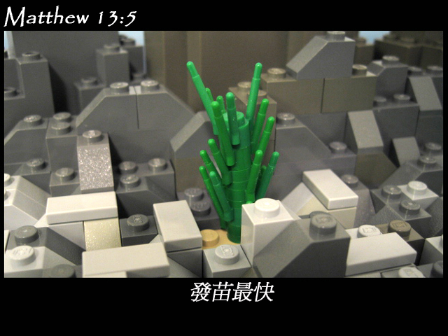 matthew_13_05c.jpg