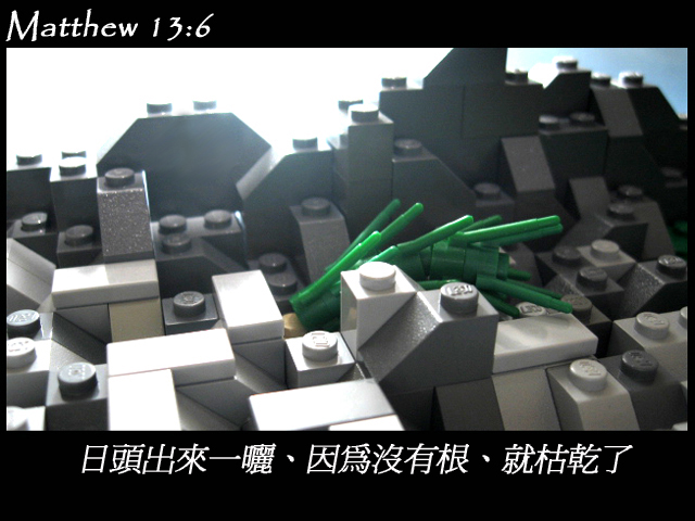 matthew_13_06.jpg