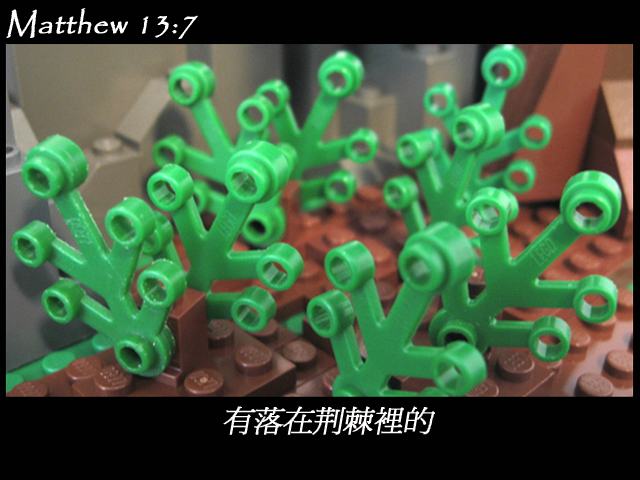 matthew_13_07a.jpg