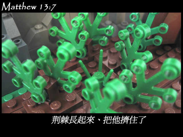 matthew_13_07b.jpg