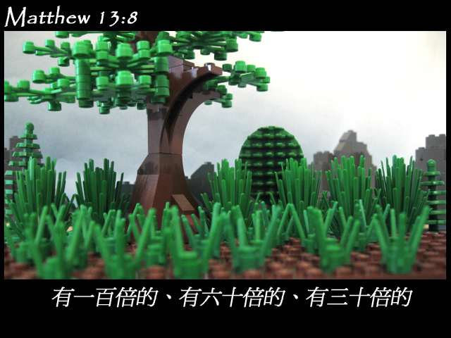 matthew_13_08c.jpg