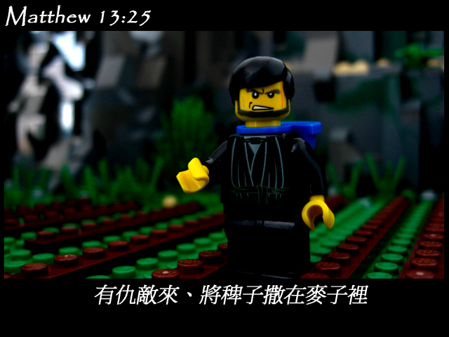 matthew_13_25b.jpg