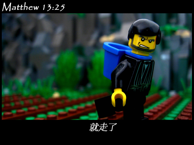 matthew_13_25c.jpg