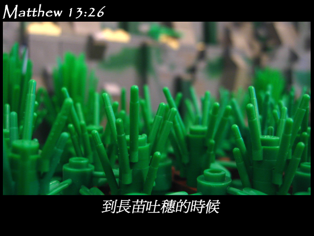 matthew_13_26a.jpg