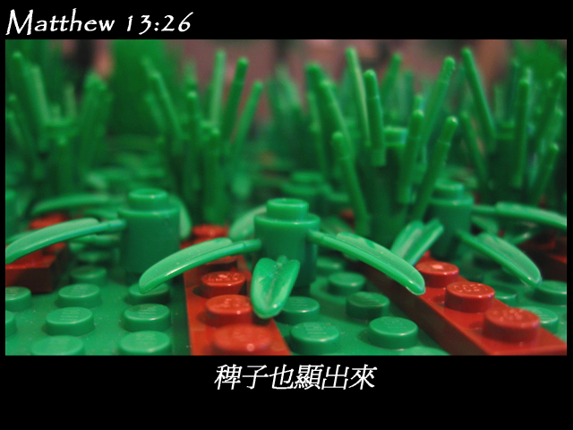 matthew_13_26b.jpg