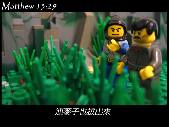 matthew_13_29b.jpg