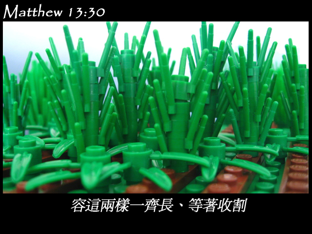 matthew_13_30a.jpg