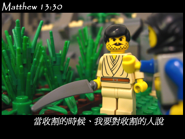 matthew_13_30b.jpg