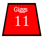 giggs.jpg