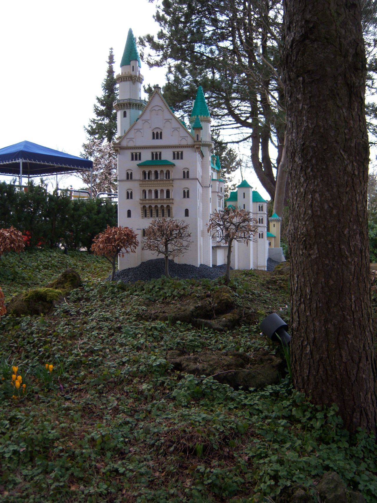 100_0946.jpg