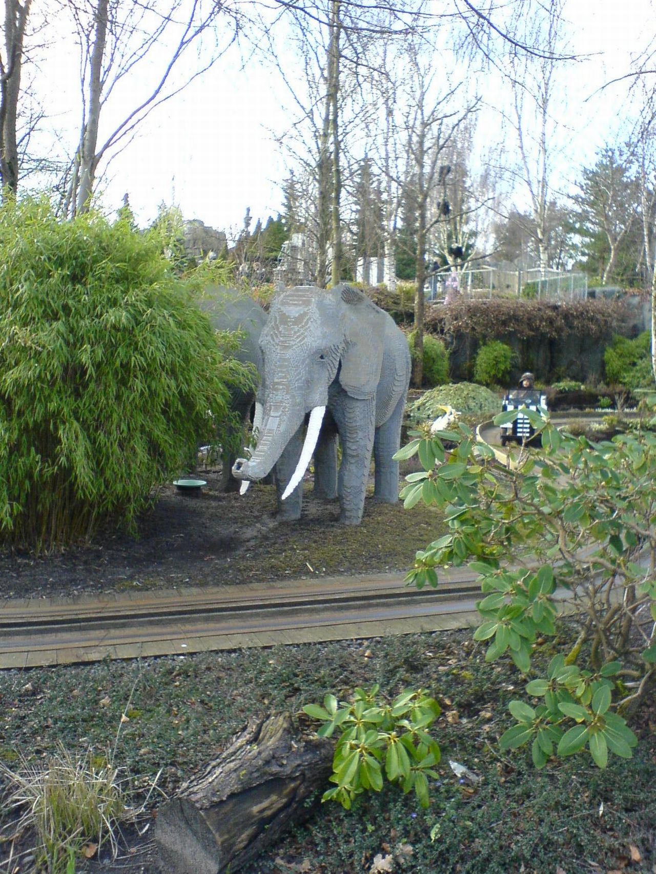 dsc00870.jpg