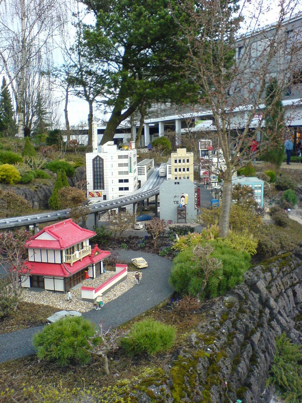 dsc00878.jpg