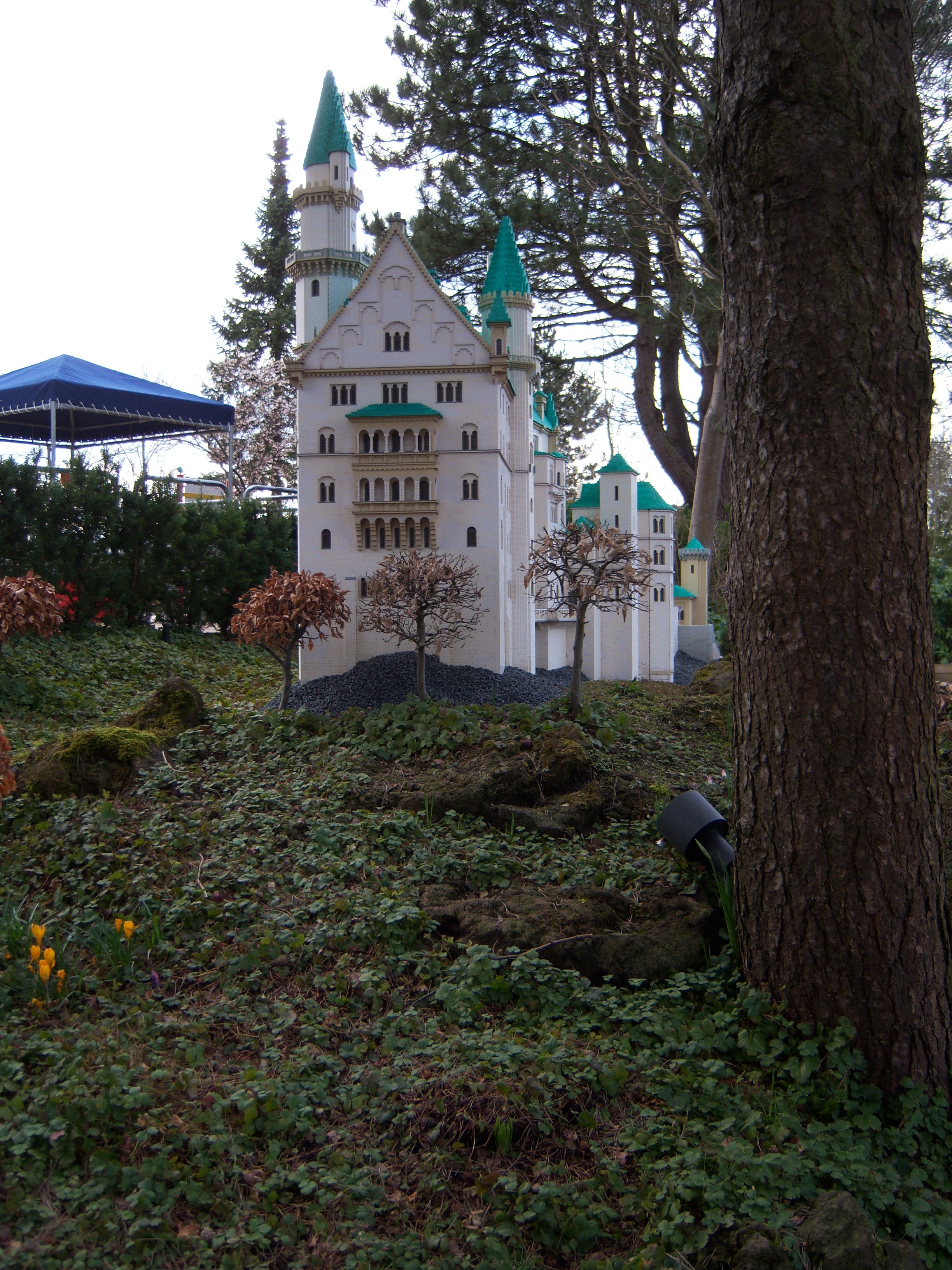 100_0946.jpg