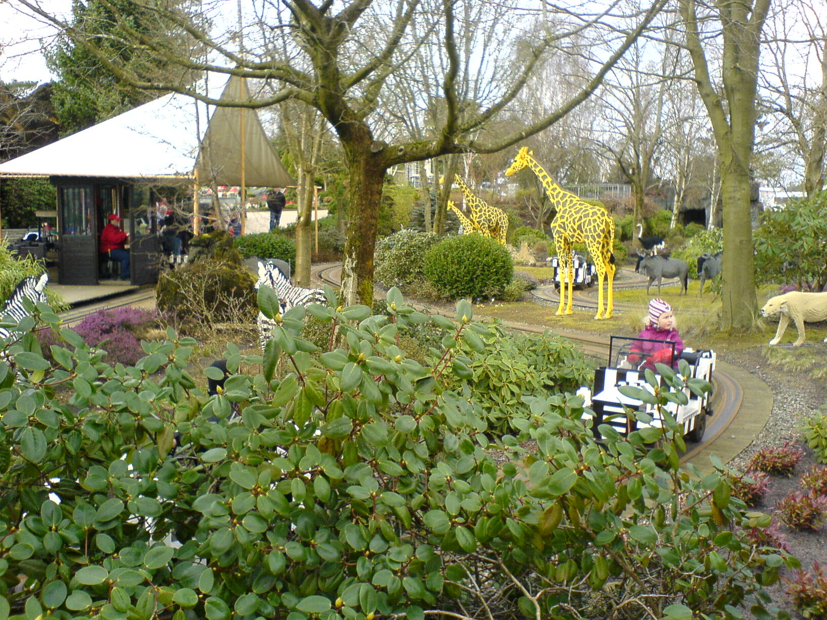 dsc00856.jpg