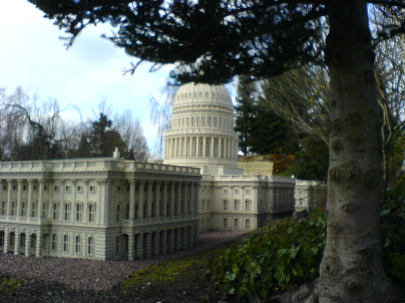 dsc00862.jpg