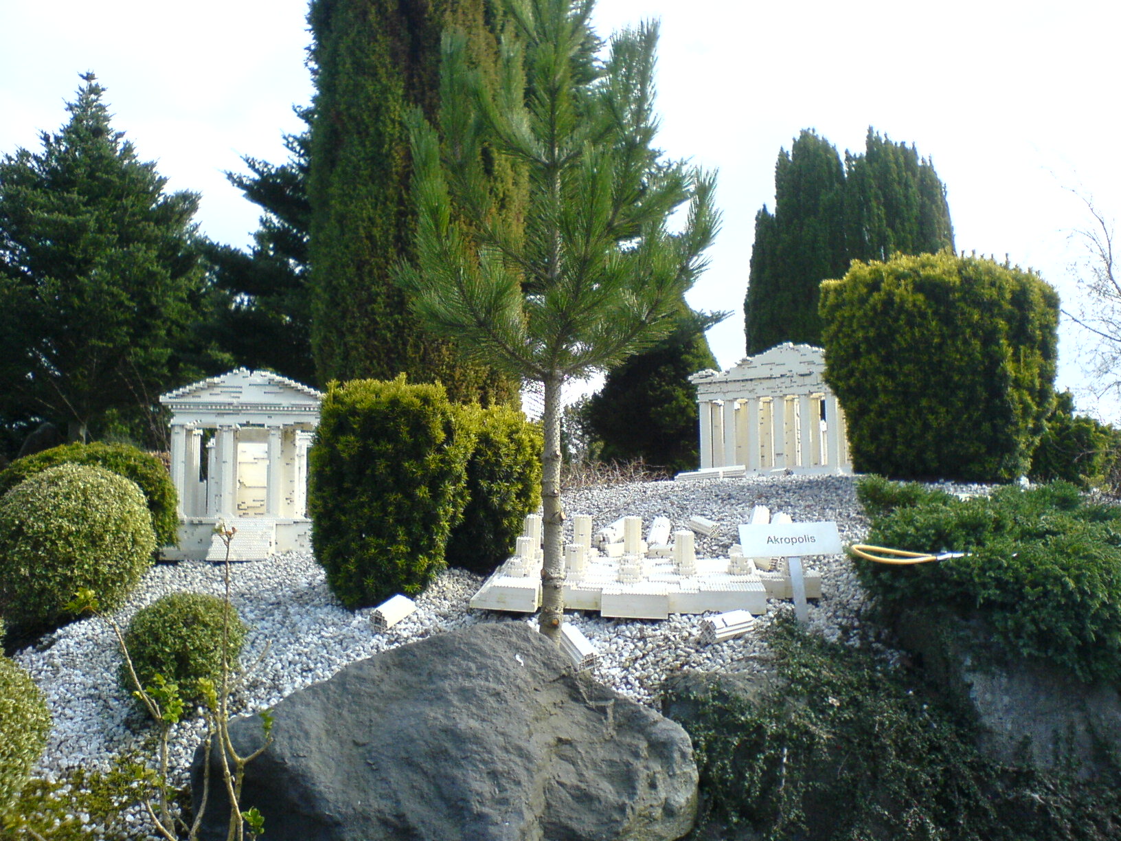 dsc00868.jpg