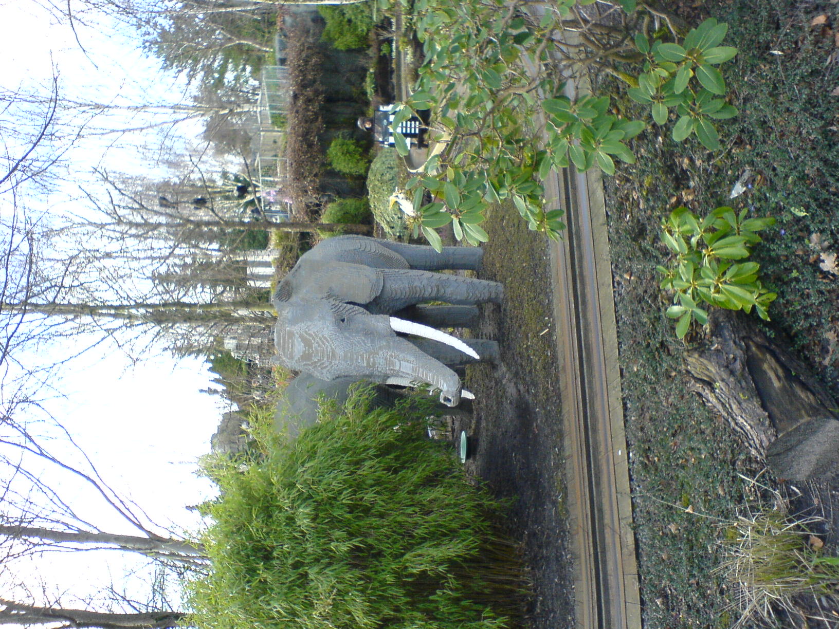 dsc00870.jpg