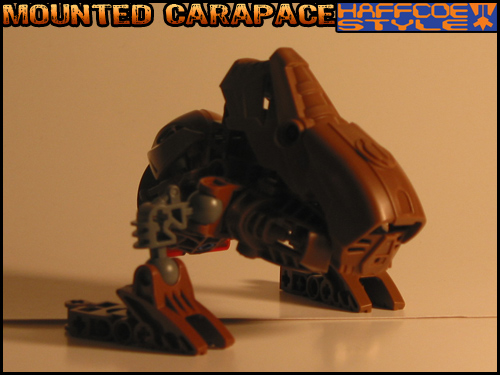 mounted_carapace-back01.jpg