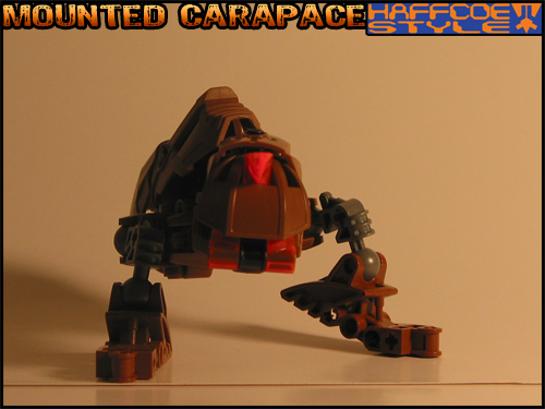 mounted_carapace-front01.jpg