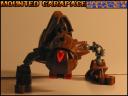 mounted_carapace-pose02.jpg